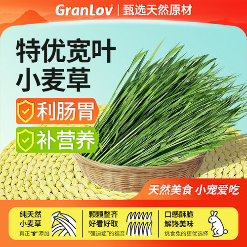 新烘干宽叶小麦干草无穗嫩绿鲜香