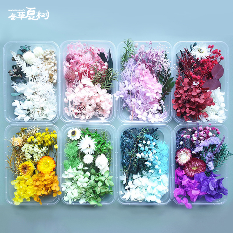 重阳节儿童礼物永生花干花diy材料真花自然蜡烛团扇相框环创装饰