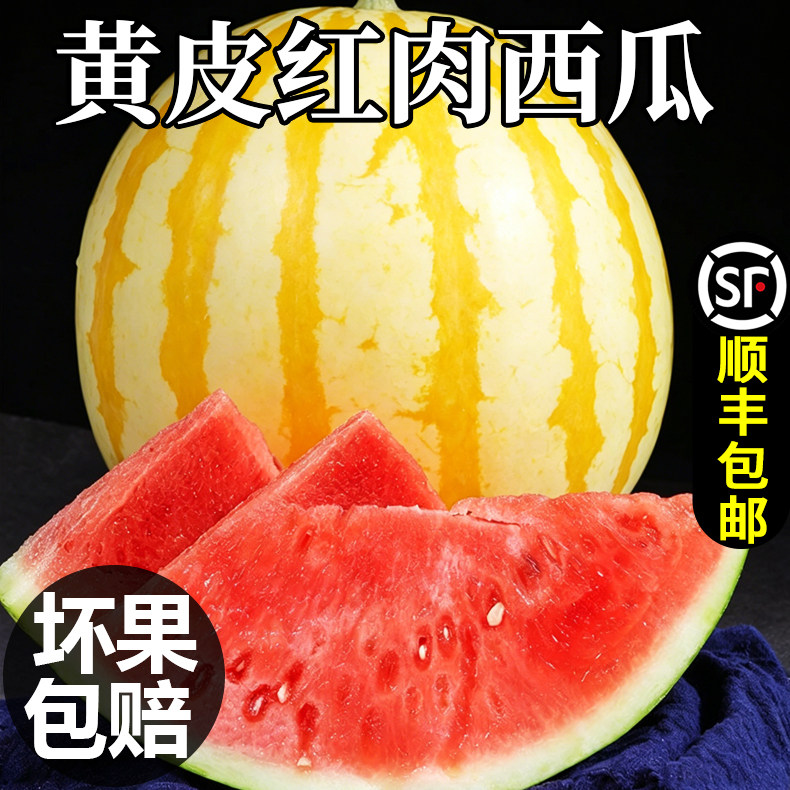 【顺丰】金美人西瓜鲜果金皇后赤金西瓜头茬黄皮红瓤西瓜新鲜水果