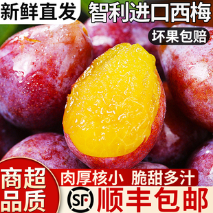 【顺丰】智利进口西梅鲜果法兰西脆甜李子新鲜当季水果整箱包邮