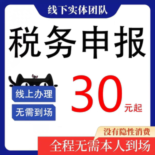 全国营业执照税务年度汇算清缴税务季度申报月报年报个人所得报税