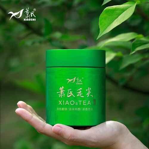 萧氏毛尖萧氏茶邓村绿茶