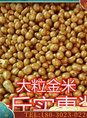 金米填香炉香灰插香工具