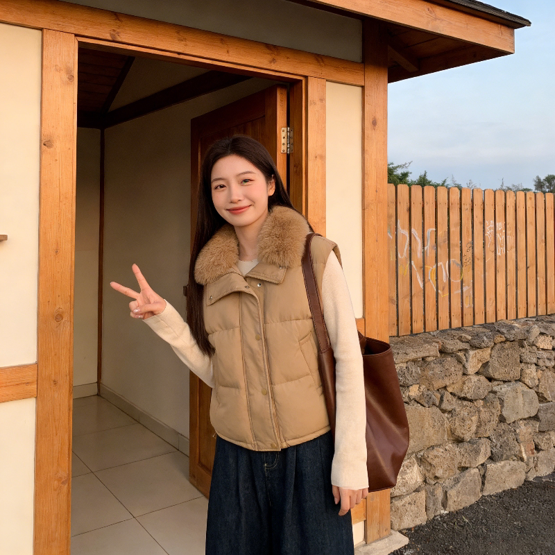 设计感毛领棉服马甲女外穿保暖洋气时尚百搭春秋季无袖坎肩短背心