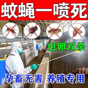 苍蝇特效药消灭去除养殖场苍蝇蚊子专用杀虫喷射剂一扫光克星神器