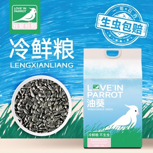 生黑珍珠小瓜子油嗑油葵籽鹦鹉鸟食饲料仓鼠零食鸟粮饲料鸽粮油葵