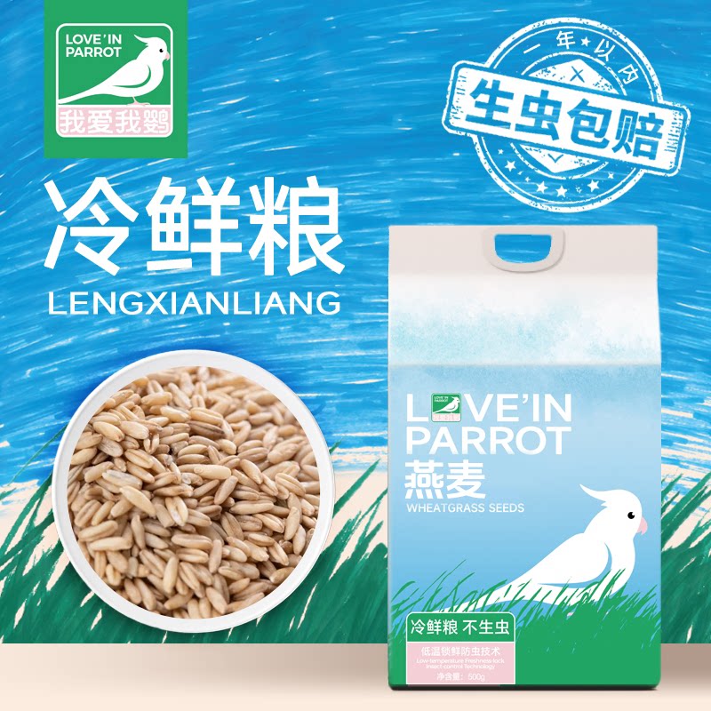 鹦鹉燕麦仁米一年生虫包赔图片