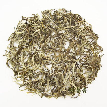 茉莉花茶叶 白雪香针2026新茶毛尖 广西横县500g袋装浓香型