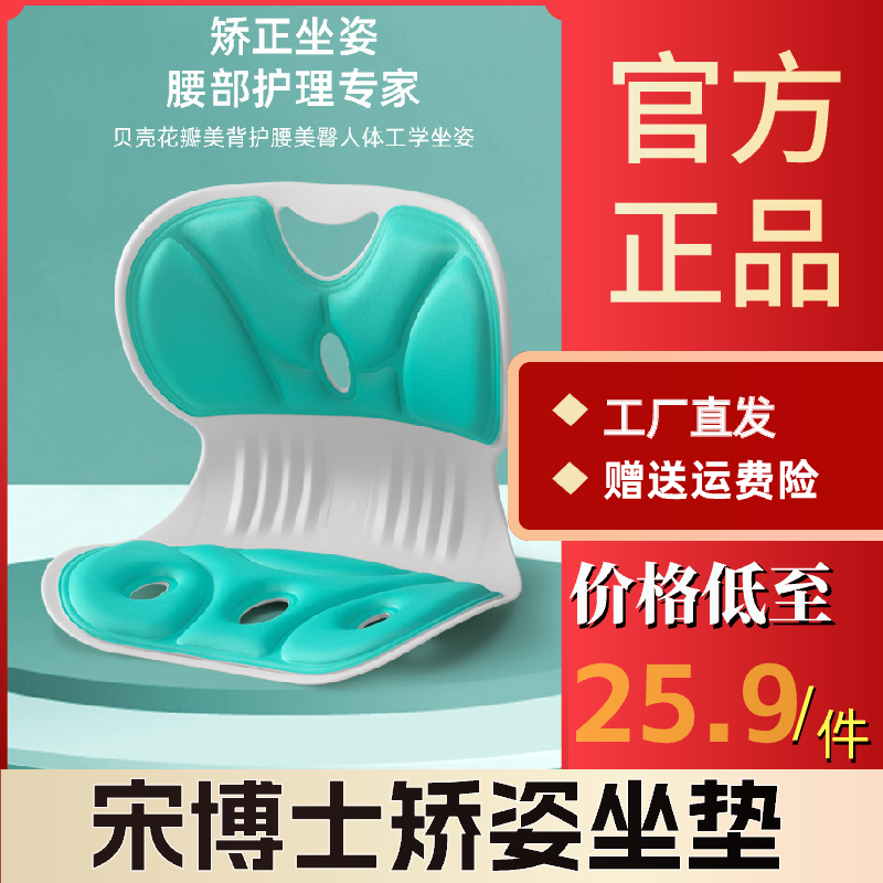 宋博士矫姿坐垫护腰坐垫