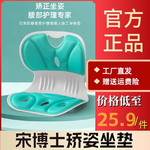 宋博士矫姿坐垫护腰坐垫