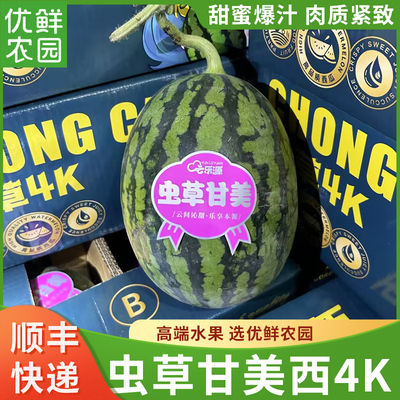 广东虫草西瓜4K爆汁顺丰包邮