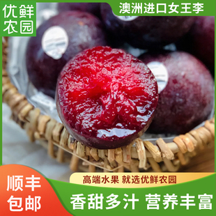 现货澳洲胭脂女王李2斤恐龙蛋红布林黑布林新鲜水果纯甜发顺丰