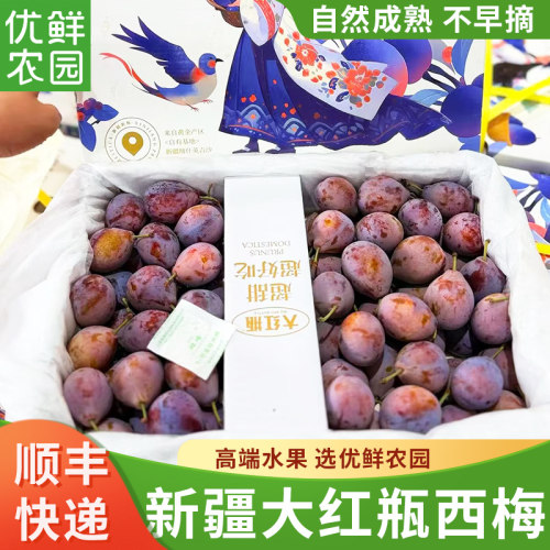 新疆喀什法兰西西梅空运硬脆甜
