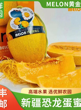 MELON新疆网纹瓜黄金哈蜜瓜
