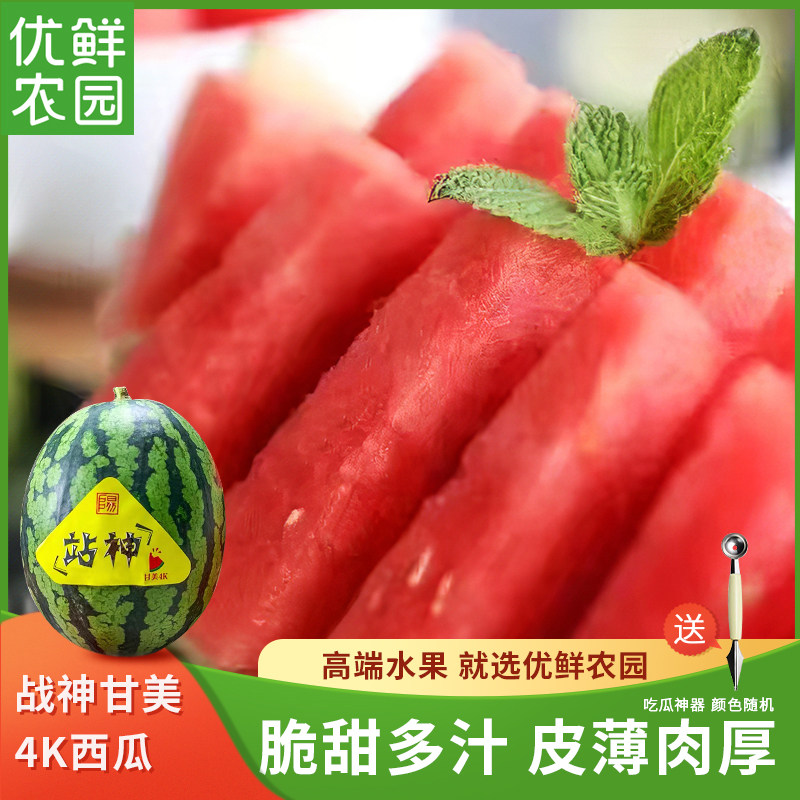 战神甘美4k西瓜麒麟盘个海南