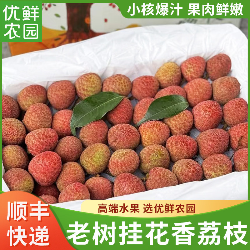 海南三亚老树挂花香荔枝新鲜大果香甜小核爆汁果肉鲜嫩顺丰空运