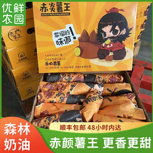 赤炎薯王番薯香薯5斤礼盒黄心红薯烤蜜薯新鲜地瓜软糯宝宝辅食