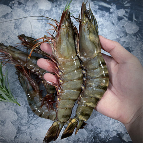 16-20超大规格黑虎虾斑节虾老虎虾鲜活速冻发顺丰净重3斤28只左右
