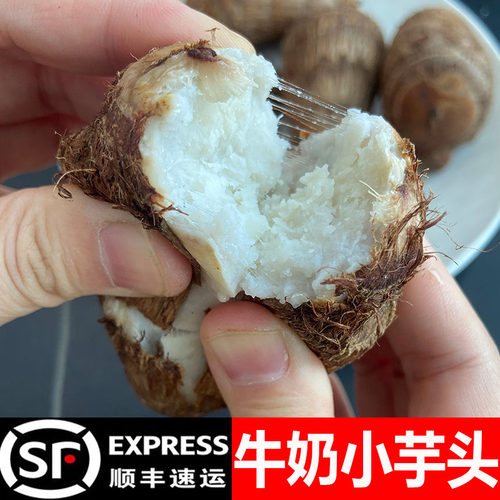 芋头小香芋山东沂蒙山牛奶芋头新鲜农家自种2025粉糯毛芋头现挖