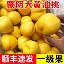 新鲜整箱山东脆桃黄油桃桃状元 桃子新鲜蒙阴黄桃黄金油桃水果当季