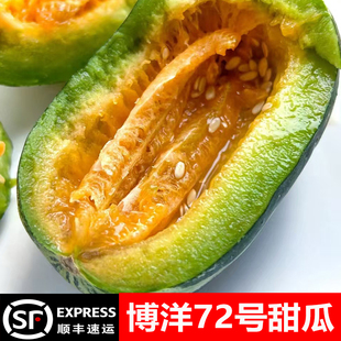 山东头茬博洋72号甜瓜新鲜水果当季整箱蜜瓜羊角蜜脆瓜香瓜现摘