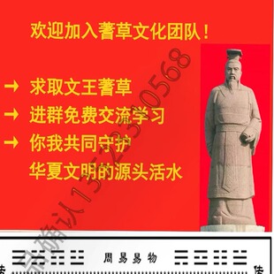 正宗蓍草正宗文王蓍草羑里蓍草筹策蓍草卦易经文化用品
