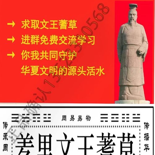 正宗蓍草正品羑里文王蓍草