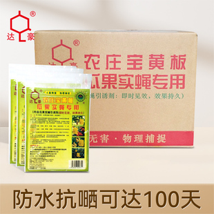 达豪农庄宝黄板双面防水黄板果蝇贴黄色粘胶板针锋胶自带引诱香味