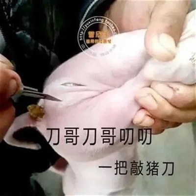 兽用阉猪刀柳叶煽猪刀去势刀手术刀双刃带尾球母猪大小挑花工具用