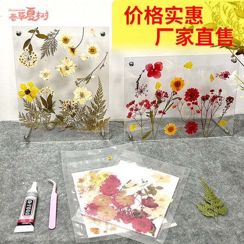 六一儿童节干压花透明相框幼儿园手工diy材料创意工具永生花摆件