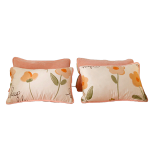 保暖a全棉b牛奶绒枕套一对装珊瑚绒纯棉加绒枕头套枕芯套内胆套冬