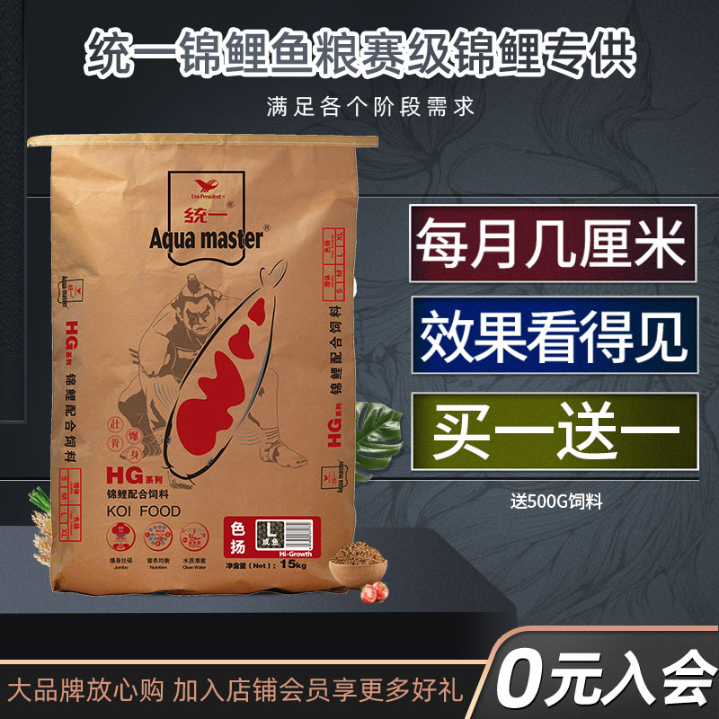 统一赛级锦鲤粮漳州锦鲤快速爆身