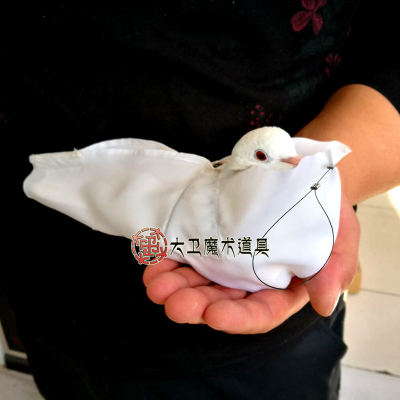 大卫魔术道具鸽囊子鸽子用衣 变鸽衣 魔术鸽囊单手开鸽囊子
