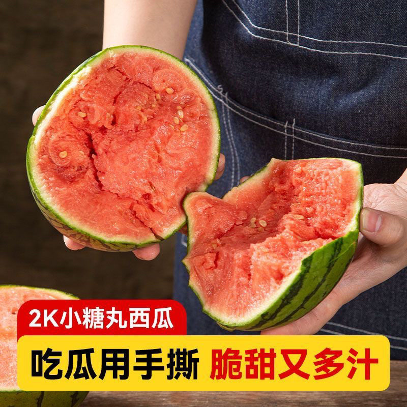 【贵族西瓜】正宗小糖丸西瓜手剥现摘西瓜新鲜季水果软籽精品吊瓜