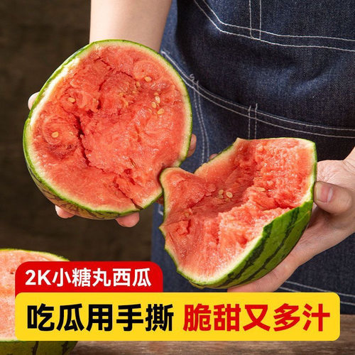 【贵族西瓜】正宗小糖丸西瓜手剥现摘西瓜新鲜季水果软籽精品吊瓜