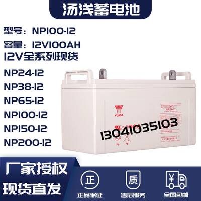 铅酸免维护蓄电池NP100-12V38AH65安时100AH120150200ah