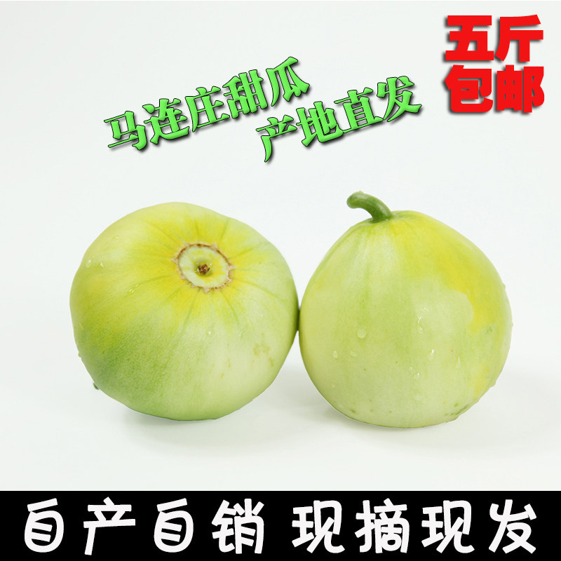 莱西马连庄甜瓜特产回头客过万孕妇应季水果5斤新鲜水果包邮