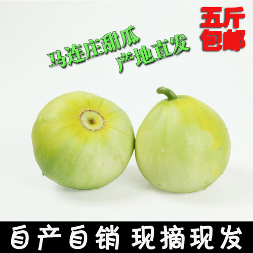 莱西马连庄甜瓜特产回头客过万孕妇应季水果5斤新鲜水果包邮