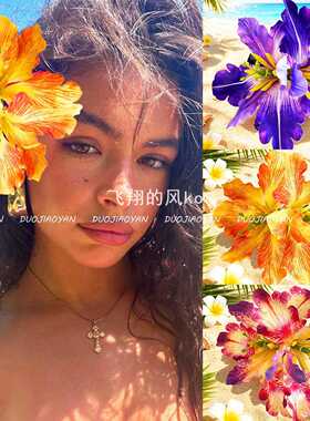 高级感彩色度假风海边拍照头花头饰新款夏威夷艳丽仿真鸢尾兰发夹