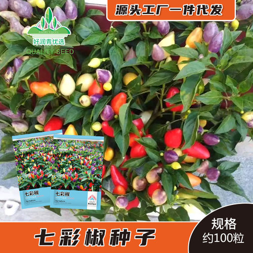 New style pepper pot, small pickled pepper balcony, vegetab
