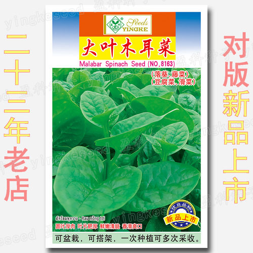 木耳菜种籽豆腐菜种子蔬菜种孑
