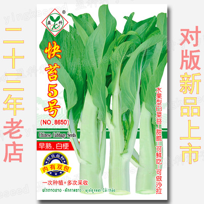 New Quick Moss No. 5 Early Maturing White Stem Cabbage Moss