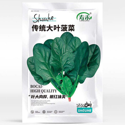 菠菜种子蔬菜籽种种籽抗热菜种盆