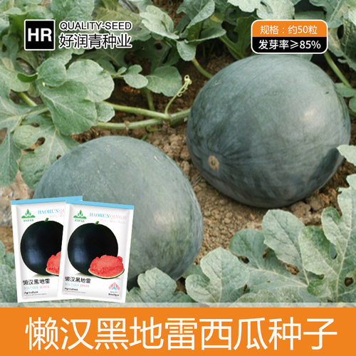 New Lazy Black Mine Watermelon Black Round Ball Red Core Sp