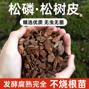 New type of pine bark fermented pine phosphorus orchid mixe
