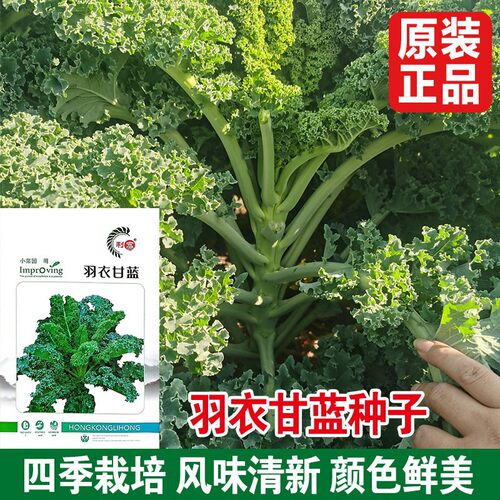 Eating kale, pot seedlings, vegetables, vegetable seedlings