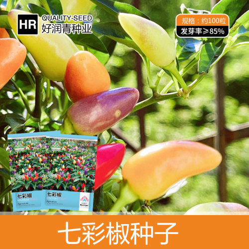 Pepper Pepper Bubble Pepper Bullet Head Colorful Chaotian P