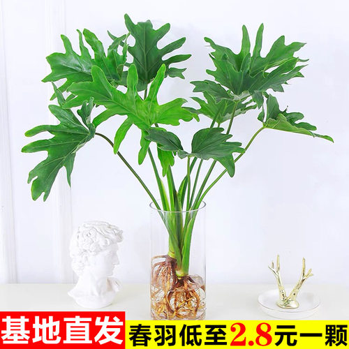 PlantSpringFeatherPotOffi