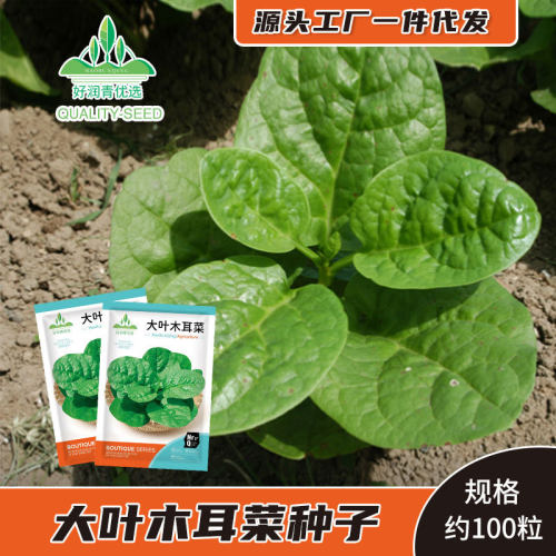New Wooden Ear Vegetables, Yangtai Pot, Tofu Vegetables, Gr