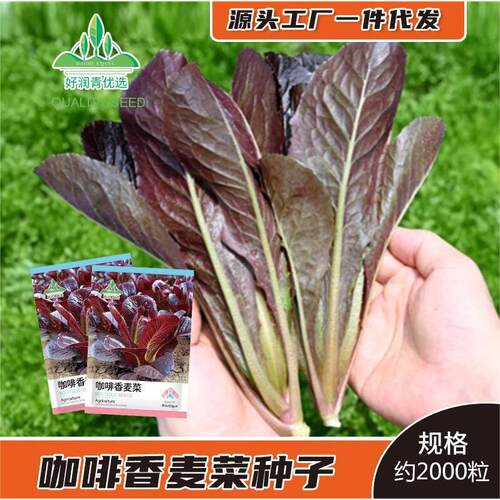Coffee Wheat Vegetables Purple Oil Wheat Vegetables Red Pea